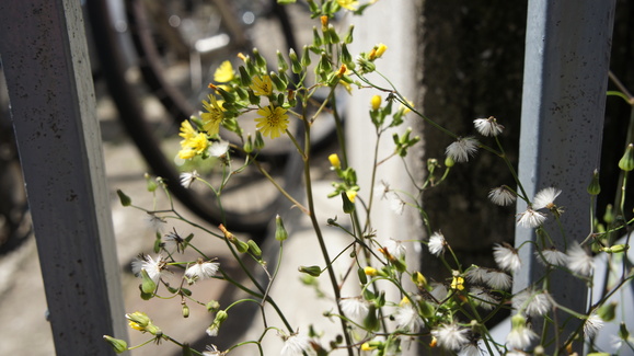 b0221233_22739.jpg