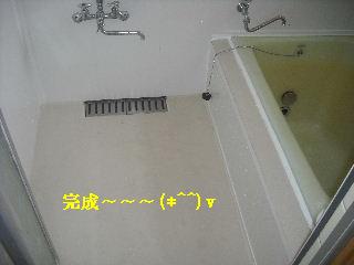 浴室リフォーム4日目　完成_f0031037_21314558.jpg