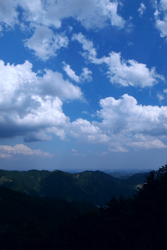 b0016940_177890.jpg