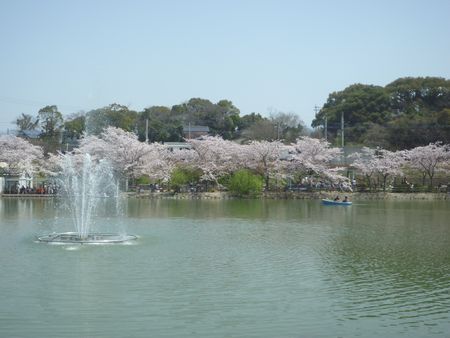 埴生神社/桜の名所は古代の島？ここもまた神功皇后が…_c0222861_1231266.jpg
