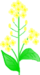 a0063364_022579.gif