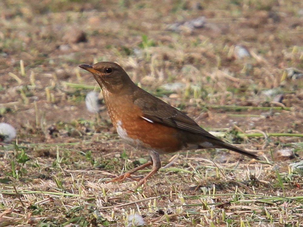 a0146869_2153985.jpg