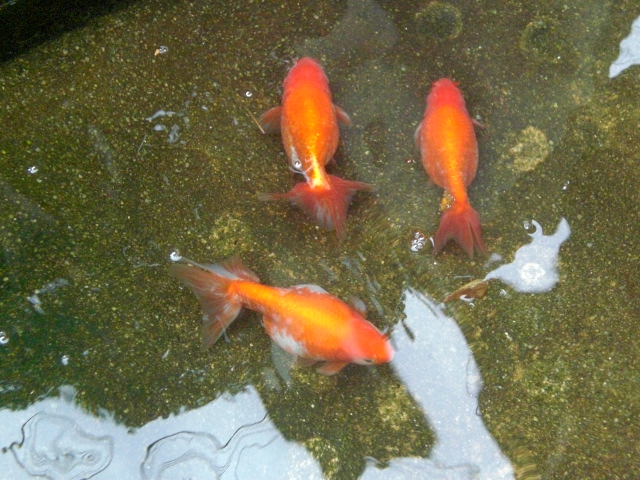 f0153475_14101449.jpg