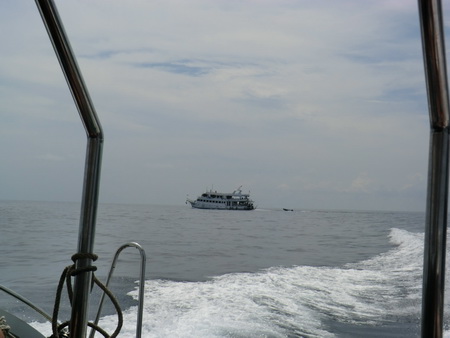 a0002177_17206.jpg