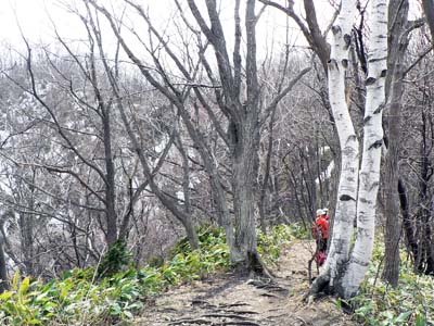 f0083977_17342345.jpg