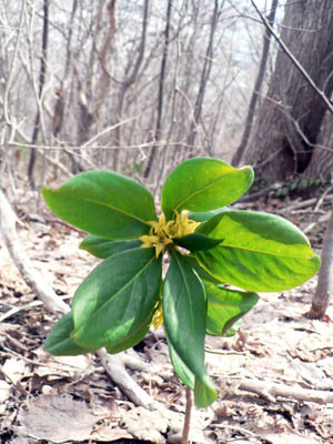 f0083977_1734441.jpg