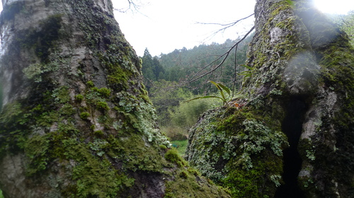 e0024081_16415880.jpg