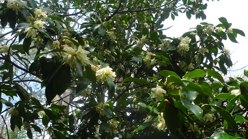 e0024081_1643493.jpg