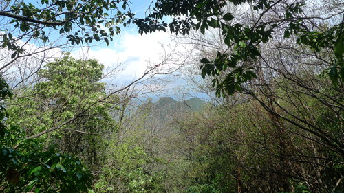 e0024081_16461345.jpg
