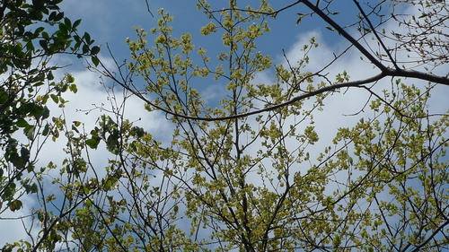 e0024081_16465879.jpg