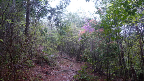 e0024081_16474236.jpg