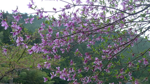 e0024081_16502660.jpg