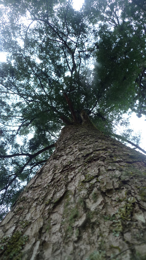 e0024081_16551123.jpg