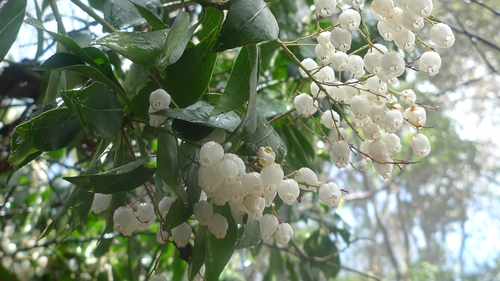 e0024081_1721466.jpg