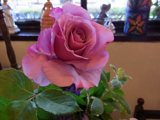 ベビーピンクの薔薇のブローチ_d0127182_17405483.jpg