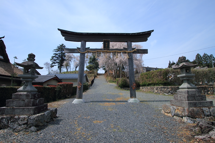 京北の桜を求めて_e0051888_23353036.jpg