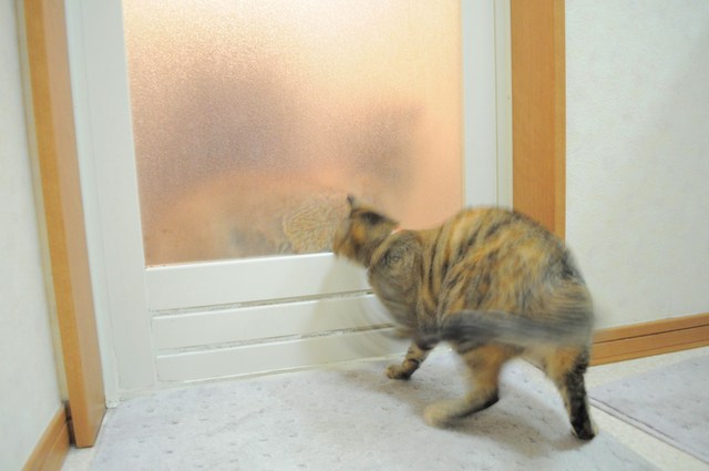 扉の向こう 完全版_a0126590_2232948.jpg