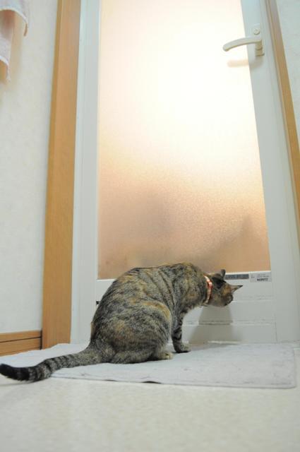 扉の向こう 完全版_a0126590_22364633.jpg