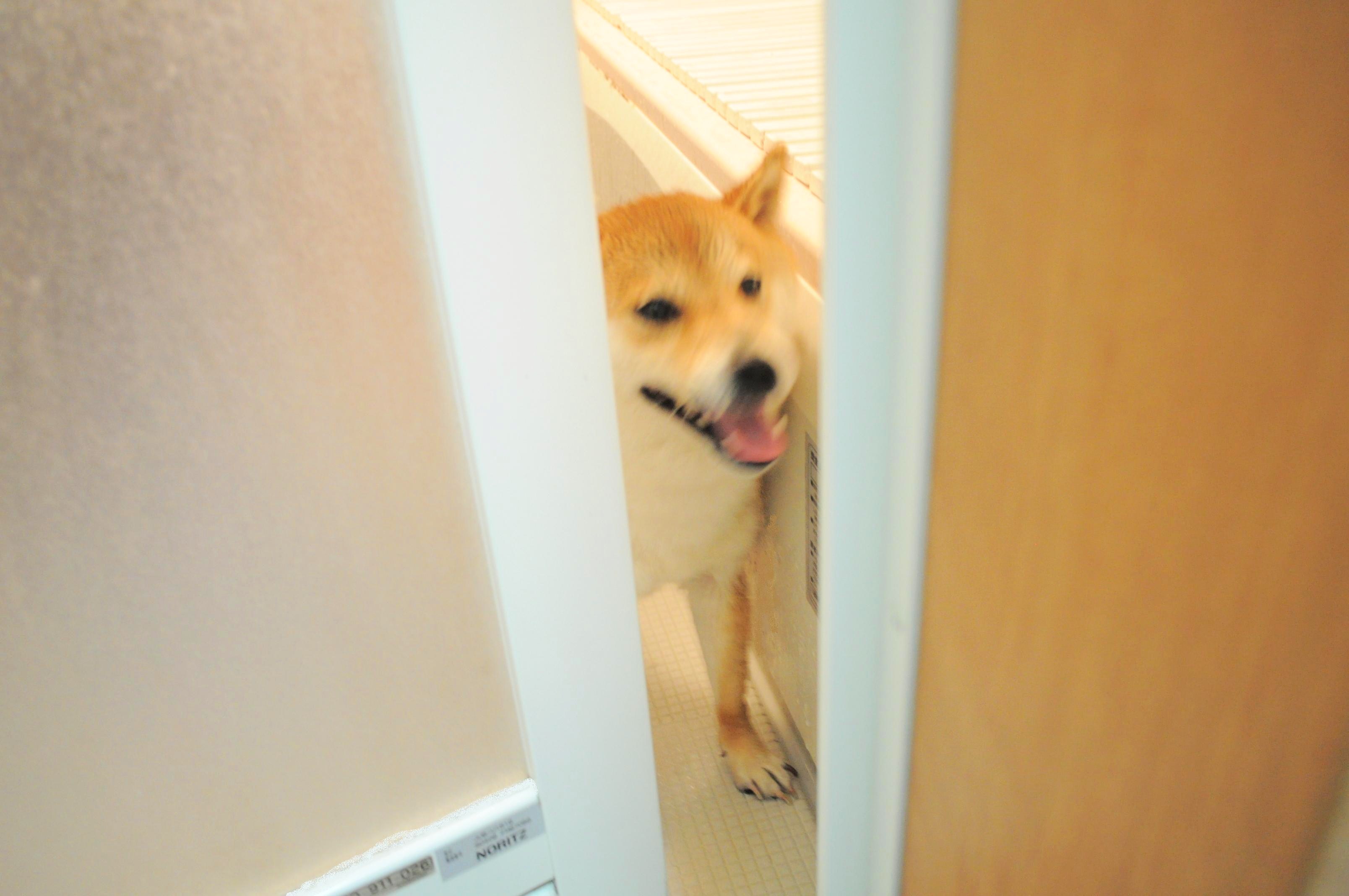 扉の向こう 完全版_a0126590_22373282.jpg