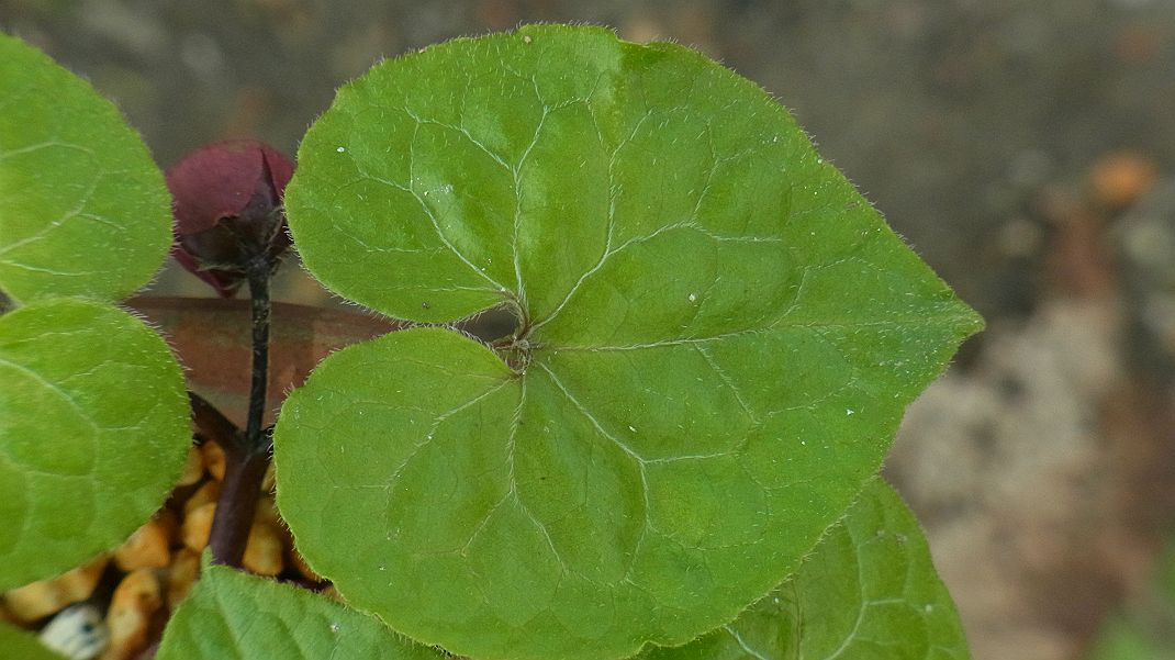 a0152692_17352593.jpg