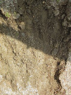 f0177295_0453516.jpg