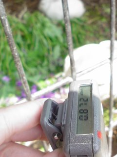f0177295_116087.jpg