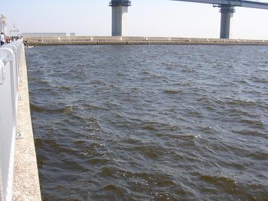 e0147297_18273039.jpg