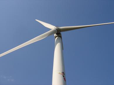 e0147297_186145.jpg