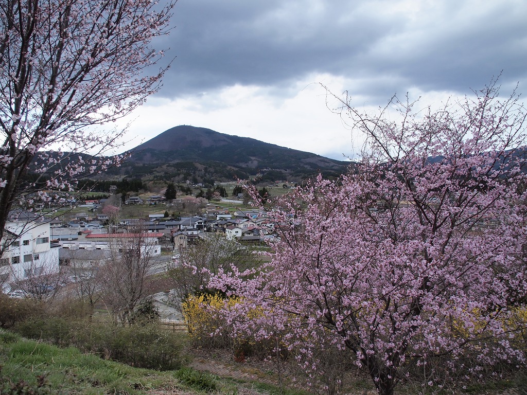 f0138305_9483321.jpg