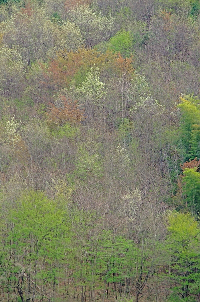 c0156908_22231336.jpg