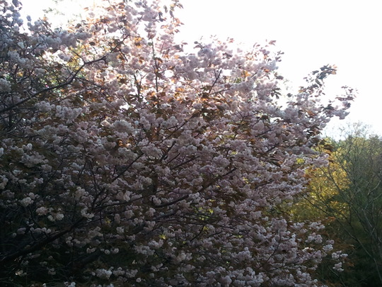 f0225108_8454423.jpg