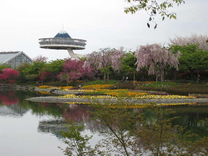 なばなの里　庭園散策　その3（最終回）_d0154609_814981.jpg