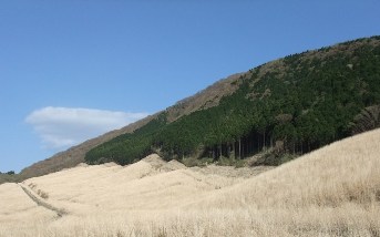f0068511_2014271.jpg