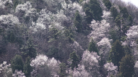 f0233414_03584.jpg