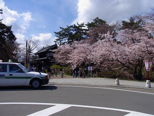 弘前さくらまつり　開花状況と宿泊状況_b0150120_1791646.jpg