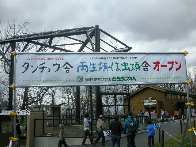 タンチョウ舎と両生類・は虫類舎オープン（旭山動物園）_b0128821_18403015.jpg