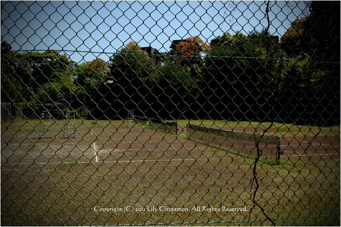 Tennis Court._c0185521_21334575.jpg