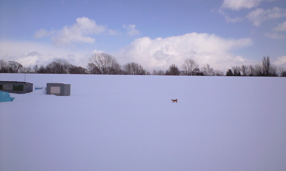 e0227023_23131859.jpg