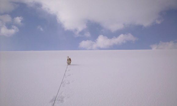 e0227023_233259.jpg