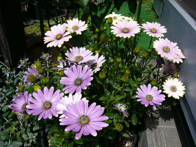 d0000324_10292021.jpg