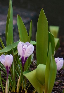 f0170524_17425124.jpg
