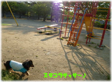 c0058727_15253637.jpg