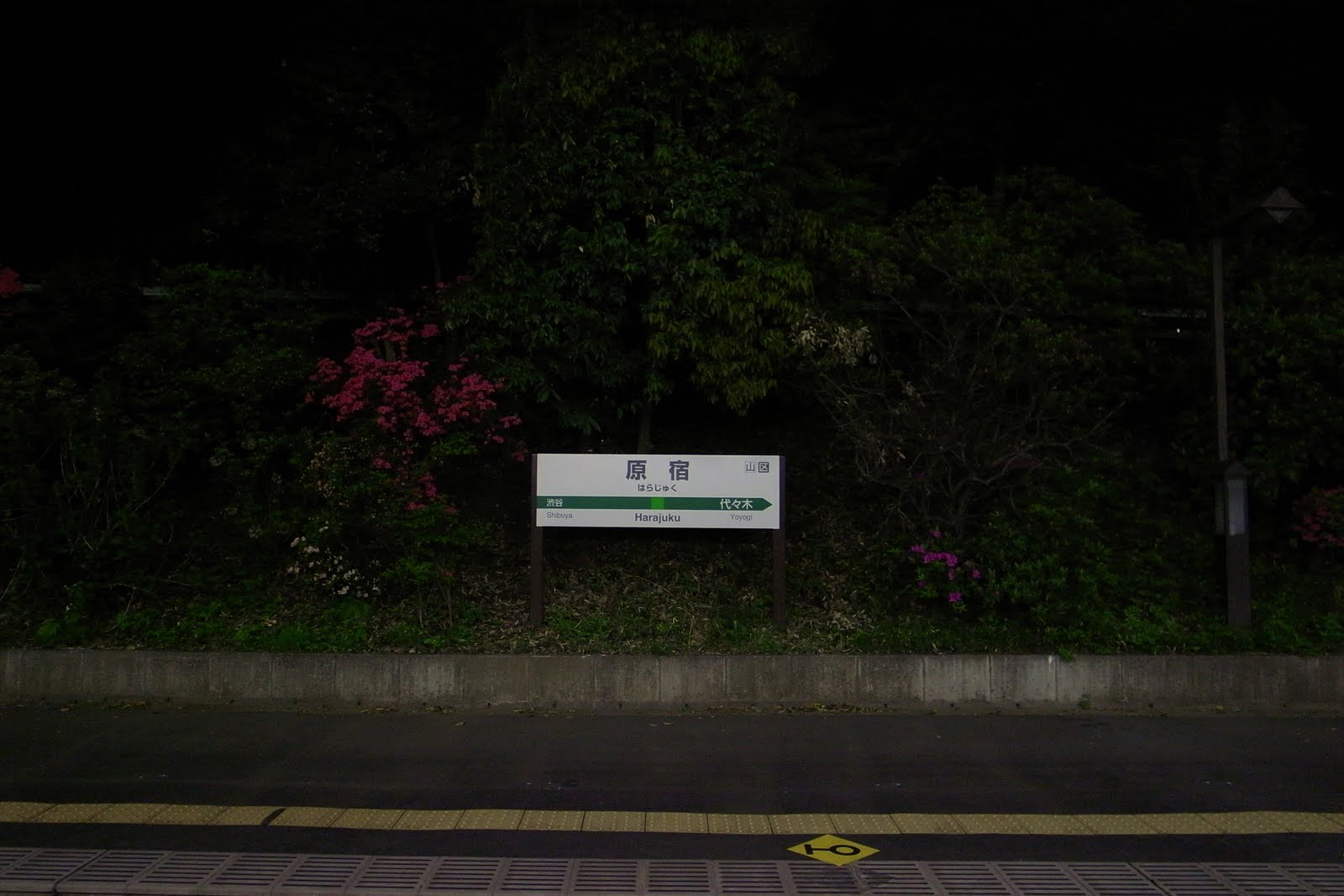 20110427 原宿駅ホームのツツジ_b0005129_15342068.jpg