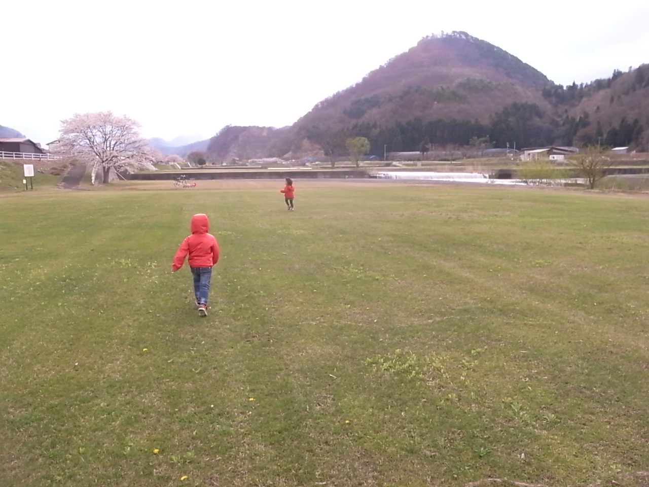 f0041138_20151664.jpg