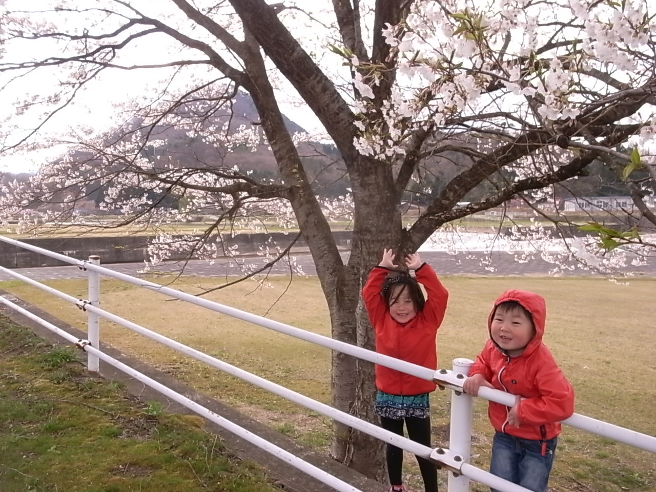 f0041138_20212114.jpg
