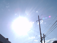 ４月２９日　・快晴・_f0224039_18191079.gif