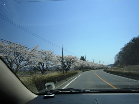 c0127460_13405414.jpg