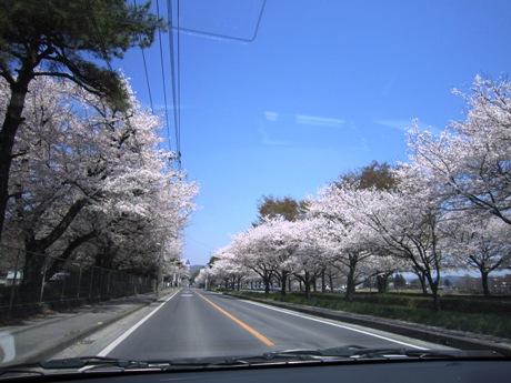c0127460_13411539.jpg
