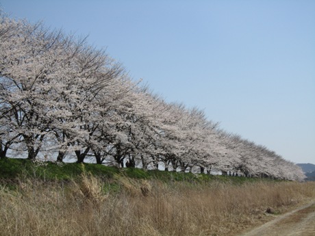 c0127460_15192298.jpg