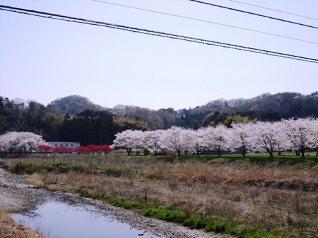 c0127460_15201748.jpg